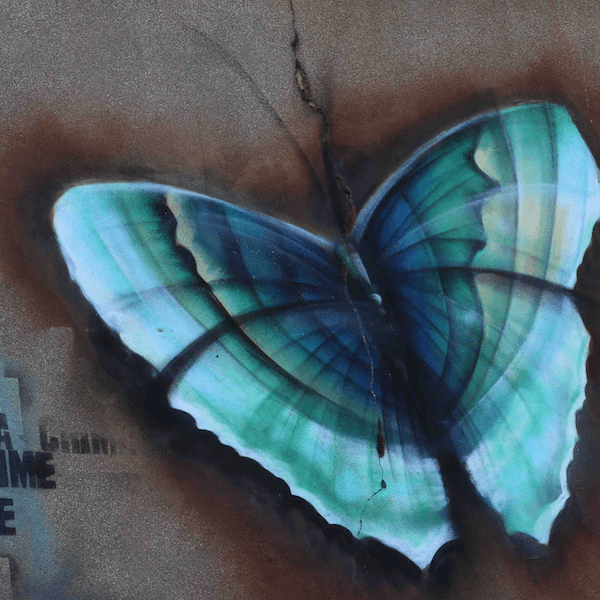 Papillon